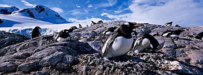 前Rocksteady开发者：真希望Xbox Series S从未存在过