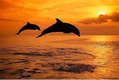 回合制RPG《克苏鲁拯救圣诞节》PS5版推出